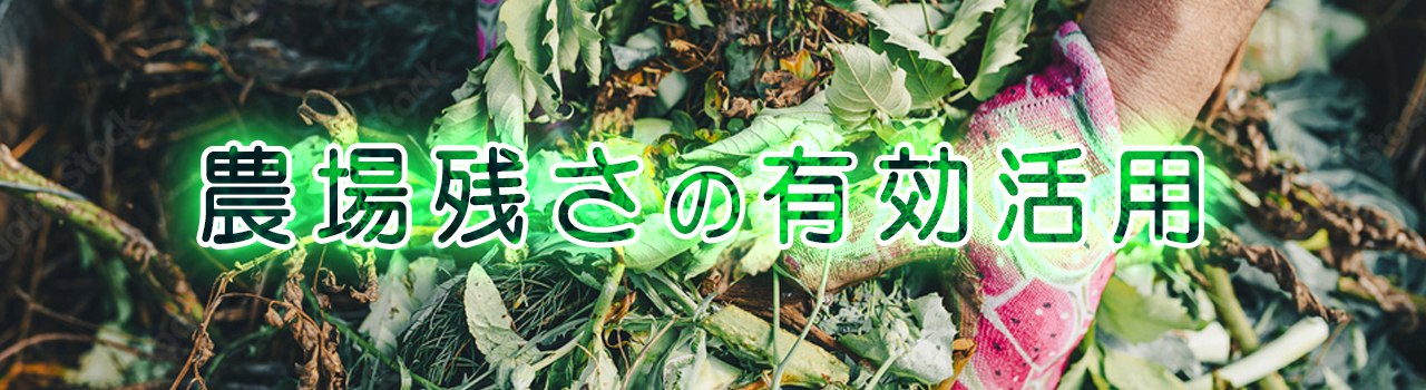 スライド2