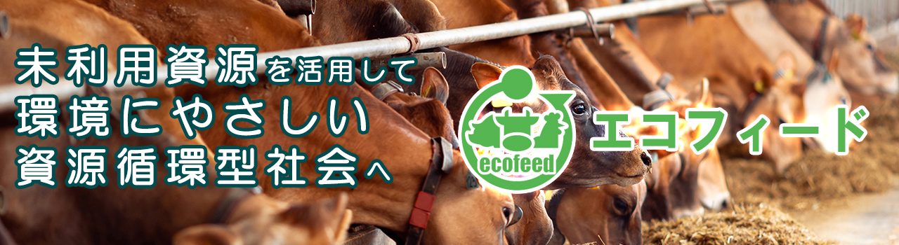 スライド3